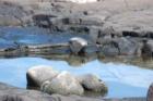 More quiet tide pools.