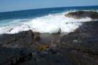 watch the wave come in #1
