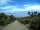 Golden Valley Wilderness Area, a short distance from Johannesburg is an OHV camper's delight.