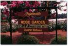Rose Garden