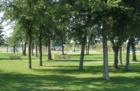 Prairie Park is a great place to take the family.