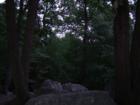 Samuel S. Lewis State Park at sunset.  Great overlook views of the Susquehanna River and countryside.