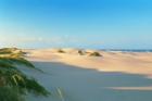 Sunny Beach-South Padre
