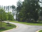 Many roads to choose.  Learn the mystery behind Skyecroft at http://www.skyecroft.com/home/overview.cfm