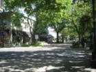 Lovely Tree-lined Street in the Camas, WA Old Town section.  Photo by John Slocum, ClarkCountyExpert.com.  September, 2007