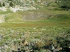 Looking down Mineral Basin, Snowbird, Utah
