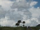 Scenic shot taken in Galveston, Texas by Christina Stevens.