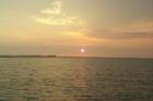 Life on Galveston Bay.  Taken by Kevin Stevens via his boat on a fishing trip.
