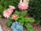 Flowers -  make Titusville homes for sale in Brevard County FL -  look happy all over