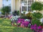 Impatiens are an inexpensive way to dress up your Brevard County home for sale