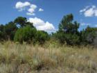 Navajo Ranch