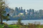 Birch Bay State Park 