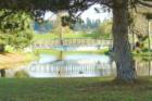 Birch Bay Village
