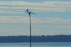 Birch Bay State Park 