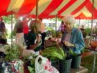 Flower Exchange
