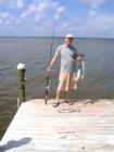 A few king mackerel in 2007 