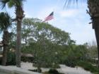 Western View From Beach Club Suite #101