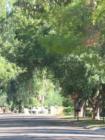 Paradise Valley Farms is a special community of large acre plus lots and mature trees, and a mix of modest  and older original custom homes, large and gorgeous new construction, and many major remodels.  Horses are allowed. 