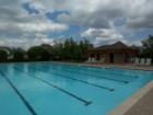 Sparkling Pool at Willow Ridge in Prosper, TX.