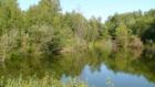 Beaver dam pond