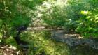 Humphrey Brook
