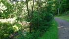 Walking trail along Humphey Brook
