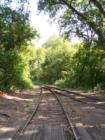 The old train tracks in Stillwater run through town and are completely hidden by the tree canopy.