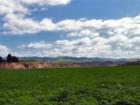 Field facing North towards Santa Maria River.