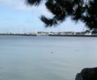 Point San Bruno