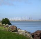 Oyster Cove Marina