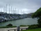 Oyster Cove Marina