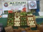 From the made in Hawaii Festival