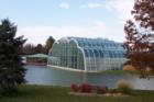 The Butterfly House