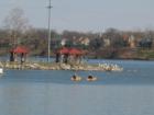 Kayakers at the Lake