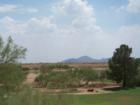 Montana del Sol - Golf