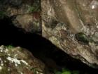 Cave in Polipoli Springs State Park