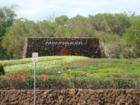 The entrance to Mauna Kea resort on the big island of Hawaii.  The resort is still closed due to the earthquake in October 2006.