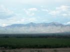 Gila Mountains across the Gila River in the Gila Valley.  Phelps Dodge Safford just opened their mine there.