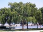 Office campus