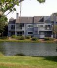 Bay Harbor Drive houses