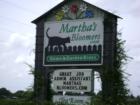 Marthas Bloomer's Navasota.  Landscaping