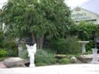 Martha's Bloomer's, Navasota