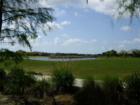 Golf Course and Lake View