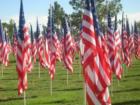 Healing Fields @ Palm Mortuary, 6701 N. Jones Blvd, Las Vegas - Honoring the fallen of 9/11/01 - open from 9/8/07 through the end of the month.