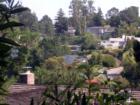 Burlingame Hills