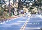 carriage ride on Jeyll Island