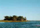 No man is an island....but everybody wants to own one......(an island that is).....
