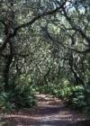 Dungerness Trail 
