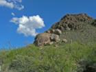 Tucson Mountain Beauty