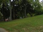 Muddy Run Park - Boat Landing and Lake area.
